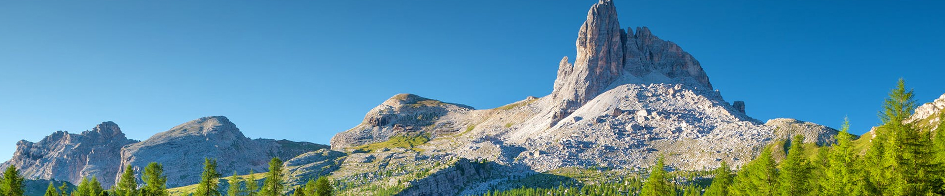 新聞動(dòng)態(tài)-2